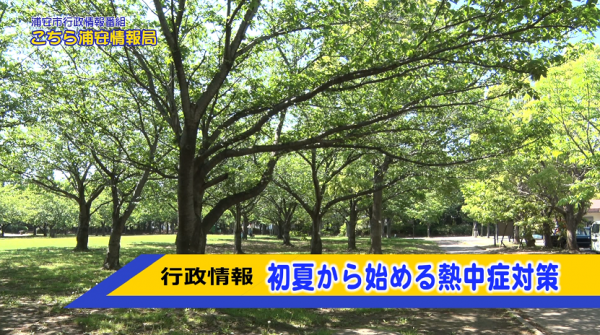  こちら浦安情報局　■浦安市の情報満載！！ 