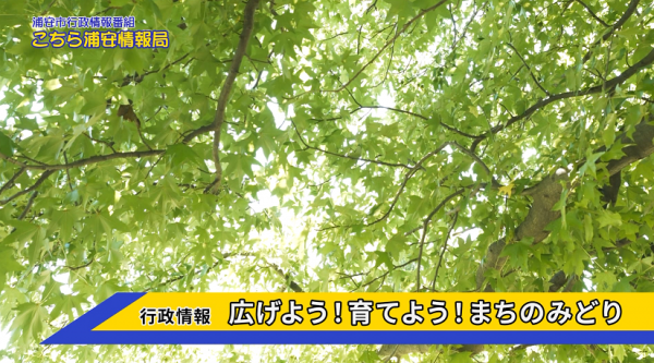 こちら浦安情報局 ■浦安市の情報満載!!