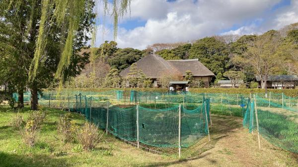  ■26/05 なるほど習志野 *26/05/04 