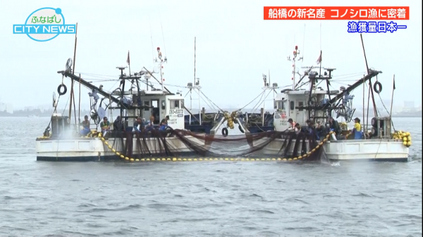 ■25/10/15 ふなばしCITY NEWS*25/10/15