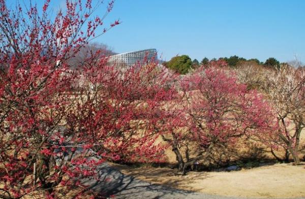 ■26/02/09 広報おだわら