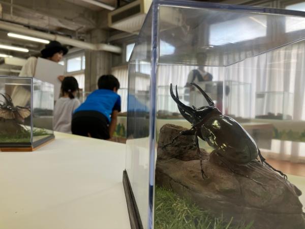  杉並区広報番組「すぎなみスタイル」　▽IMAGINUS夏のイベント 