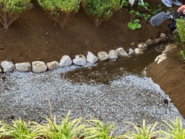  杉並区広報番組「すぎなみスタイル」　▽雨庭 