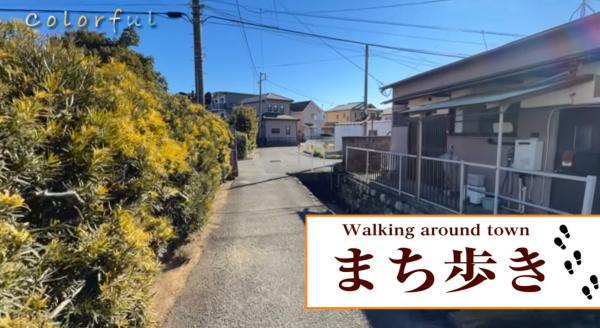  26/02/15-28 colorful 