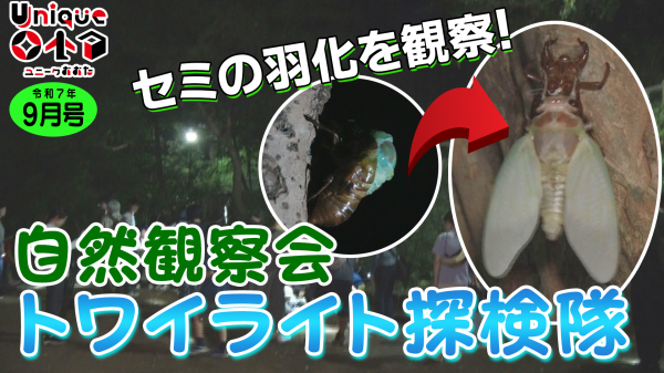  自然観察会「トワイライト探検隊」 
