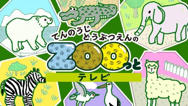  てんのうじどうぶつえんのZOOっとテレビ　選 