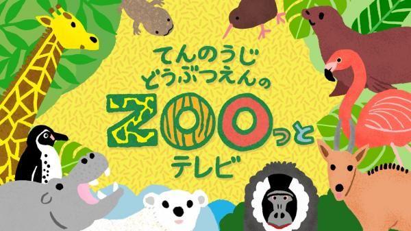 てんのうじどうぶつえんのZOOっとテレビ 