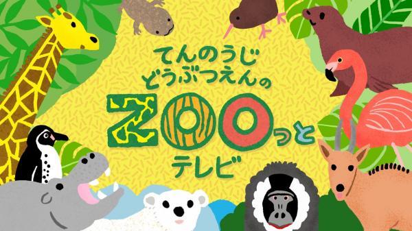  てんのうじどうぶつえんのZOOっとテレビ　選 