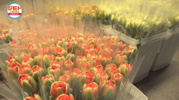  ジモトトピックス 