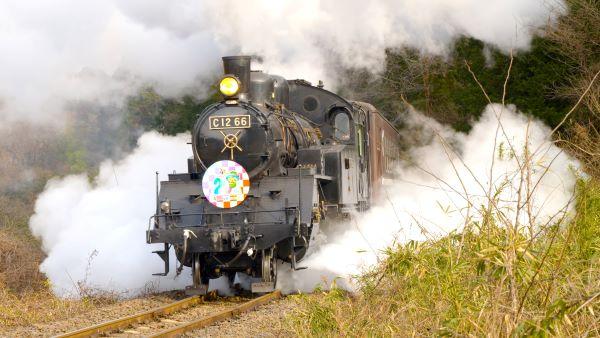  壮観劇場　▽#52　「コットンウェイ！SLの詩」 