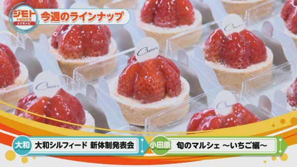  ジモトトピックス　▽ジモトの旬なトピックスをギュッとまとめてお伝え！ 