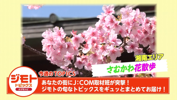  ジモトピ　▽神奈川県内のさまざまな話題をお届け！ 
