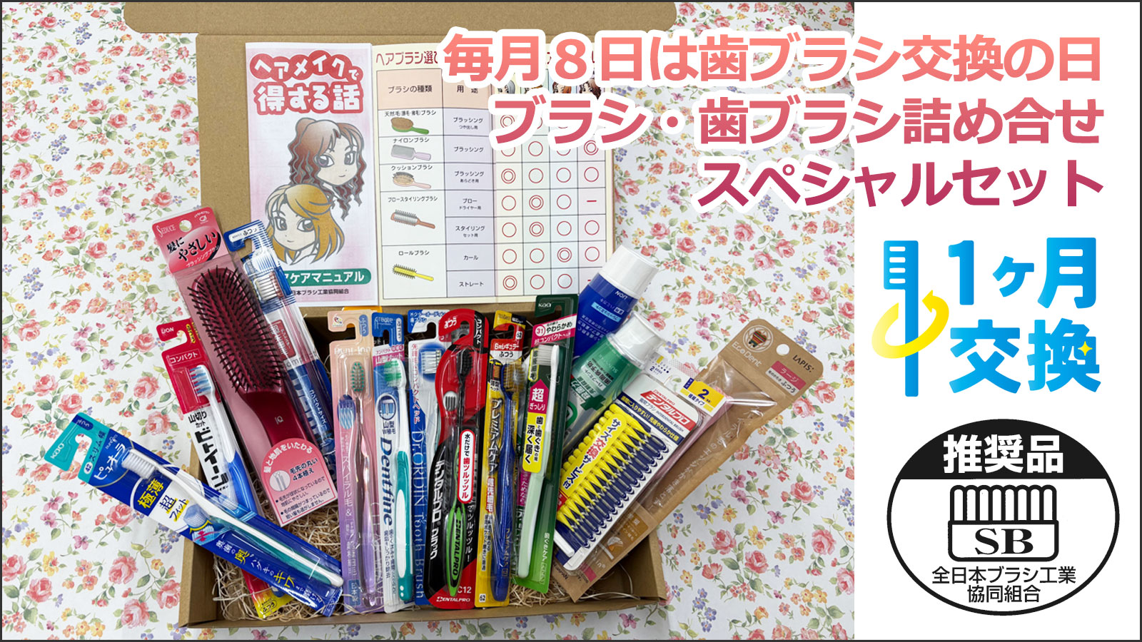 毎月８日は歯ブラシ交換の日　ブラシ・歯ブラシ詰め合せスペシャルセット【70名様】11月8日はいい歯の日