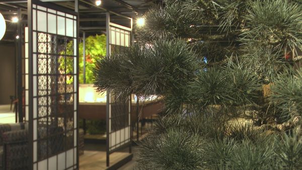 番組追加情報