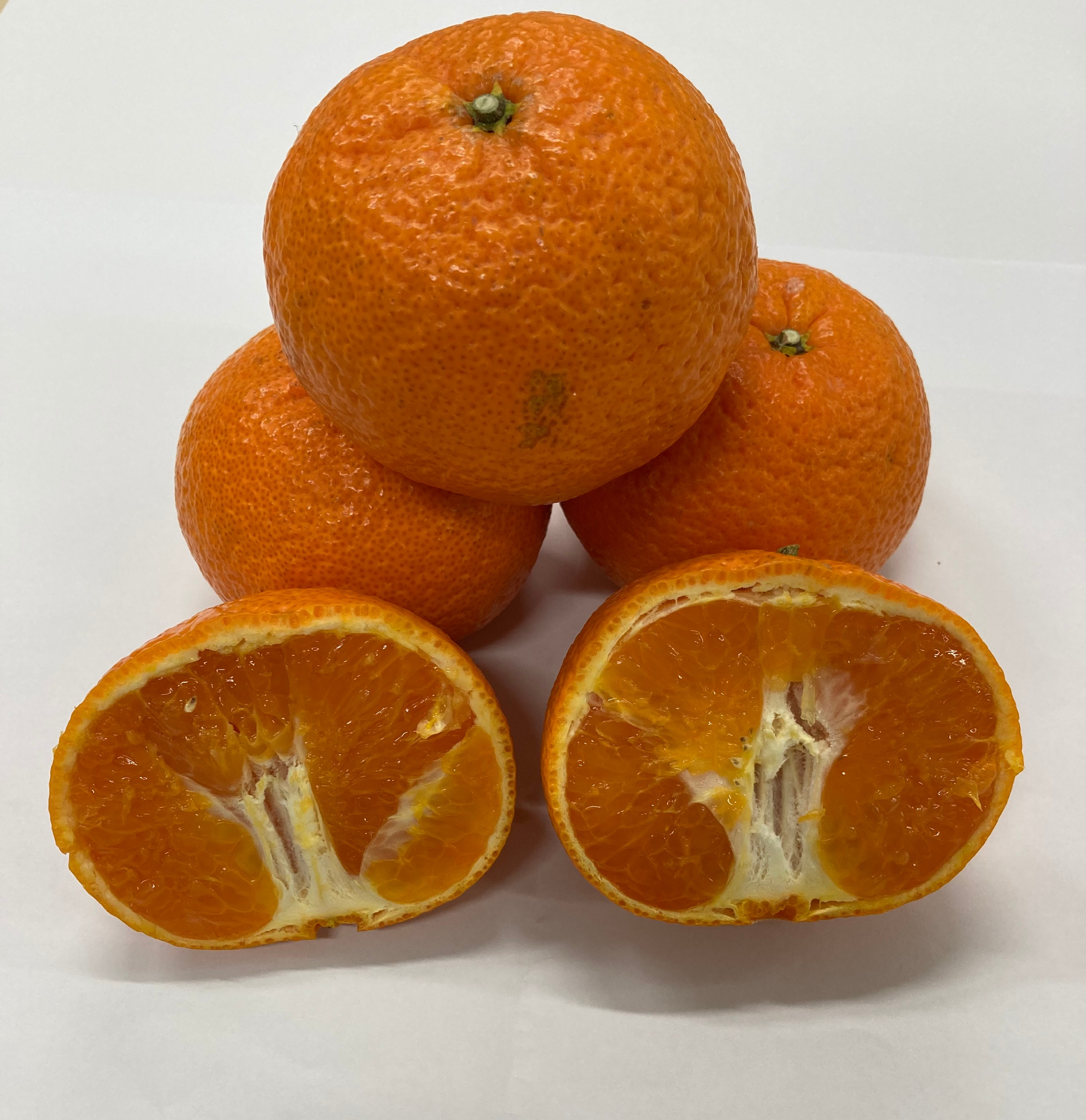 【プレゼント】森本農園｜和歌山県産 津の輝 5 kg（30名様にプレゼント）