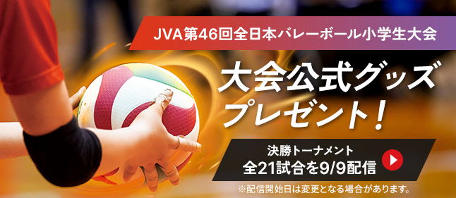 小学生バレーボール