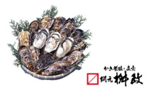 生牡蠣２KG（殻付き）＜網元 桝政＞