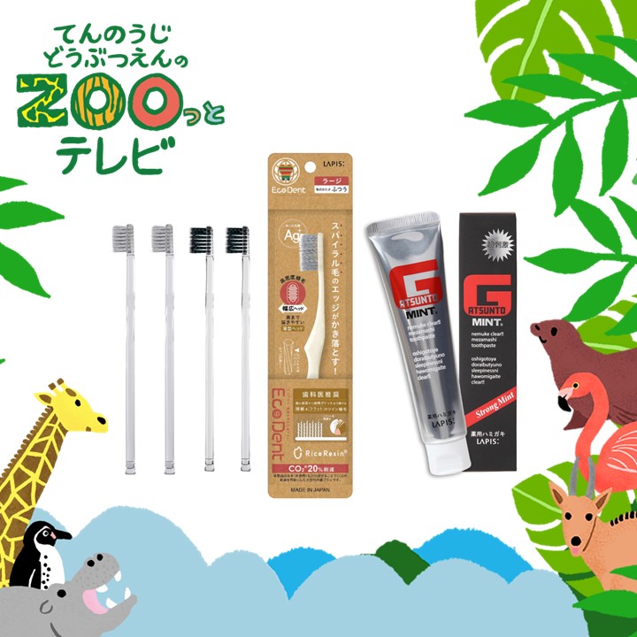 てんのうじどうぶつえんのZOOっとテレビ-2024年11月視聴者プレゼント！歯垢も歯周ポケットもおまかせセット（40名様）