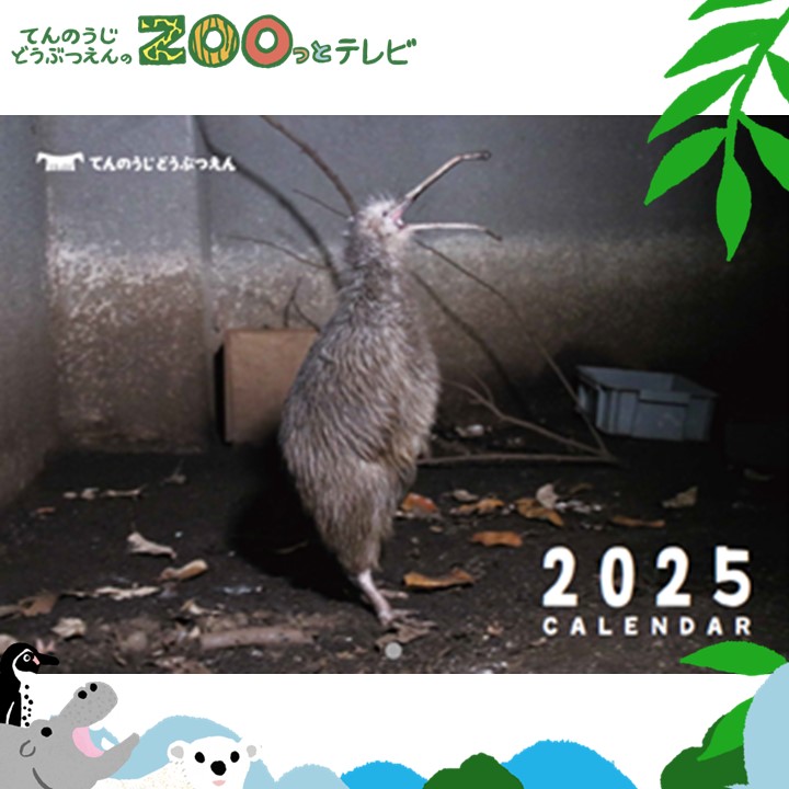 てんのうじどうぶつえんのZOOっとテレビ-2025年1月視聴者プレゼント！ クイズでプレゼント！<br>「天王寺動物園カレンダー２０２５」（5名様）